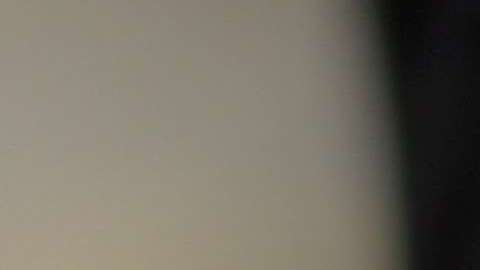 ICE-CBP busca mejores programas para revisar redes sociales de viajeros.