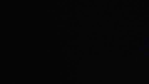 President Obama Honors Emerging Entrepreneurs At The White House