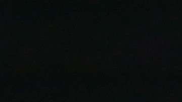 En su primer año de gobierno el presidente llegaría a 2,000 declaraciones falsas o engañosas