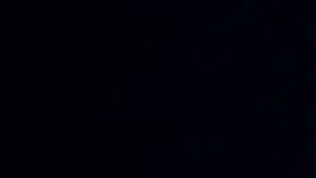 Entre más divida al país Trump tiene mayor chance de ser reelecto