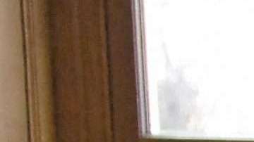 Director of French research laboratory,