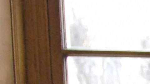 Director of French research laboratory,