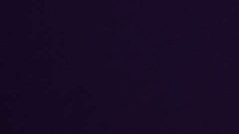 El "Movimiento Santuario" ha crecido en todo EEUU.