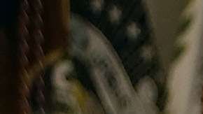 El yerno del presidente estuvo bajo interrogatorio de los fiscales especiales