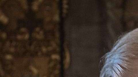 El presidente Trump en Mar-a-Lago.