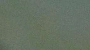 El gobierno Trump siguió las recomendaciones del Departamento de Seguridad Nacional para acabar el TPS