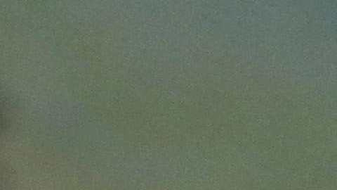 El gobierno Trump siguió las recomendaciones del Departamento de Seguridad Nacional para acabar el TPS