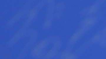 Liu Yifei es la elegida de Disney.