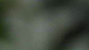 Donald Trump Jr. fue criticado en redes sociales.