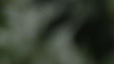 Donald Trump Jr. fue criticado en redes sociales.