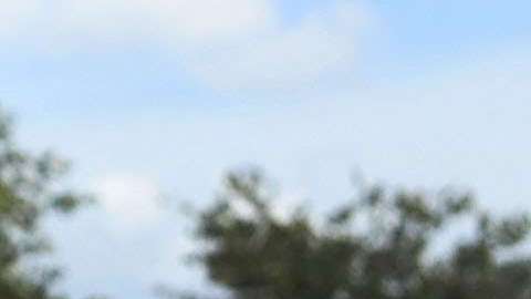 Los haitianos reciben la fatídica noticia de la cancelación de su Estatus de Protección Temporal