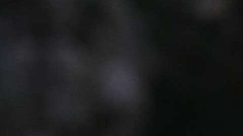 El presidente Trump defiende a Roy Moore.