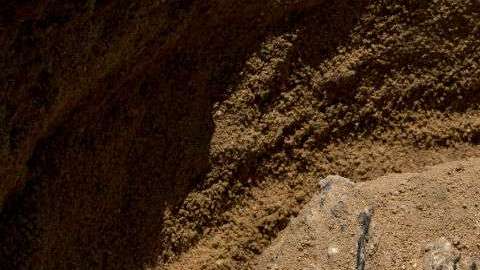 El descubrimiento fue llevado a cabo por investigadores de la Universidad de Portsmouth.