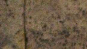 Los hechos ocurrieron en Oregon.