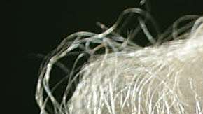 Crece la polémica por los  videos anti-musulmanes que re publicó Trump en Twitter