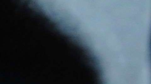 Foto ilustrativa de una serpiente pitón en el zoológico de Amneville, en Francia.