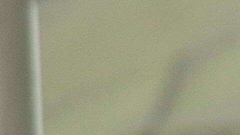 Canadá ha tenido un aumento de inmigración de indocumentados.