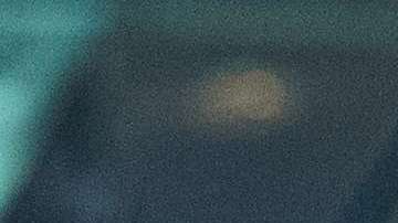 El jefe de Gabinete quería terminar ya con el TPS para hondureños.