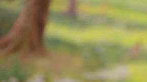 Kim Jong-Un, líder norcoreano. Getty