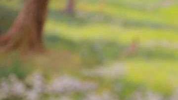 Kim Jong-Un, líder norcoreano. Getty