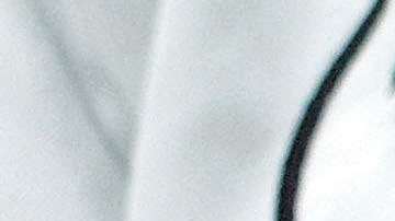 Por solo $50 mil dólares la empresa basada en Texas podrá replicar a su perro