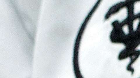 Por solo $50 mil dólares la empresa basada en Texas podrá replicar a su perro