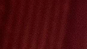 El Dr. Steve Larson, Director Ejecutivo de Puentes de Salud recibe un cheque de 10,000 dólares de HBO.  (Lisa Lake/Getty Images for HBO)