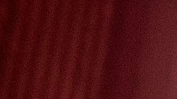 El Dr. Steve Larson, Director Ejecutivo de Puentes de Salud recibe un cheque de 10,000 dólares de HBO.  (Lisa Lake/Getty Images for HBO)