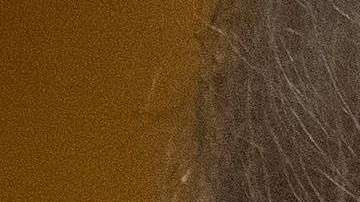 Esta fecha marca el inicio del juicio de ex jefe de campaña