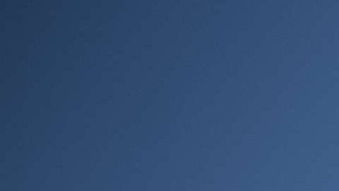 Trump ordenó al director de la CIA reunirse con analista que maneja teoría de conspiración sobre autoría del "Rusiagate"