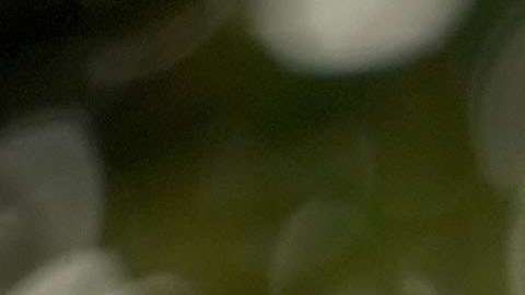 Radican en el Congreso proyecto para prohibir la venta de rifles de asalto