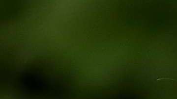 El esposo de Ivanka Trump no informó todas sus relaciones financieras.