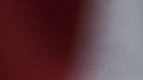 Joe Barton se disculpó por la imagen difundida.