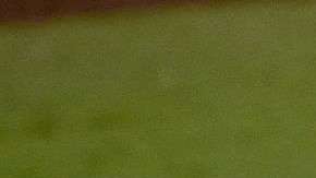 José Altuve y Carlos Correa. Getty Images