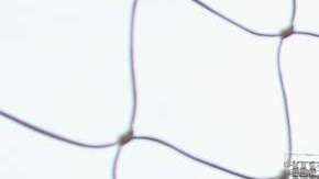 Chicharito anotó un golazo con el Crystal Palace