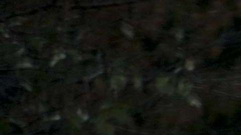 La foto de la mujer se volvió viral.