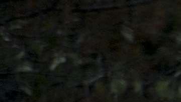 La foto de la mujer se volvió viral.