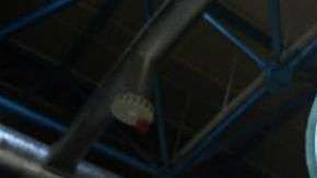 Las mujeres ocupan un mayor campo laboral en el ámbito tecnológico en la atención médica, la administración de oficinas y la educación.