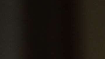 Lo que hizo y lo que no.