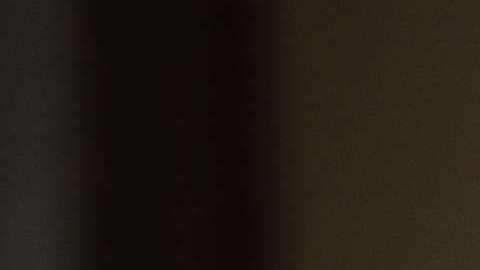 Lo que hizo y lo que no.