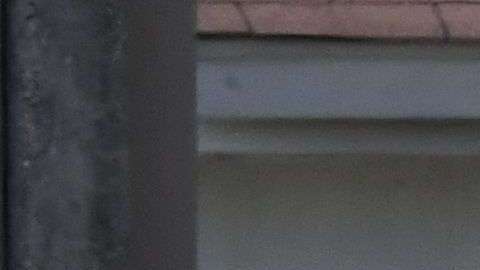 El FBI colabora con la indagatoria en Texas.