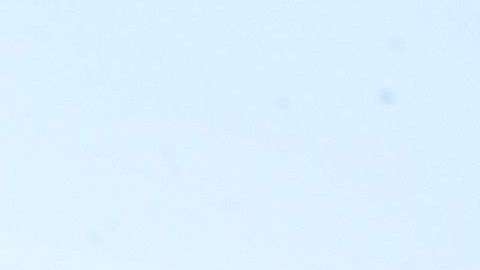 El tirador en la iglesia en Texas utilizó una AR-15.