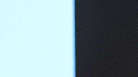 La primera dama ha lucido impecable, según expertos, durante su viaje por Asia.