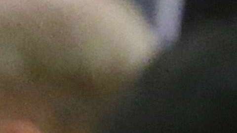 Todo lo que el presidente degustó en su viaje asiático estuvo cargado de contenido político