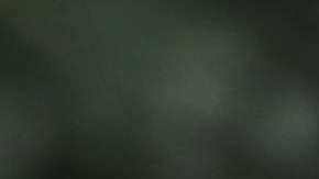 Los mandatarios dialogaron en el marco de la reunión de la APEC.