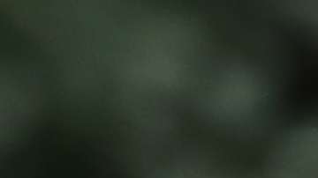 Los mandatarios dialogaron en el marco de la reunión de la APEC.