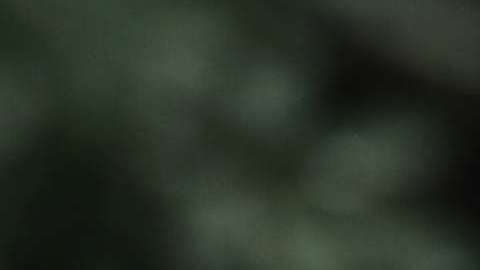 Los mandatarios dialogaron en el marco de la reunión de la APEC.