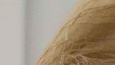 Trump y Putin dialogaron vía telefónica.