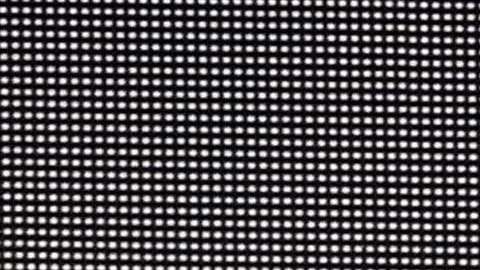 El presidente Trump se confundió con el saludo.