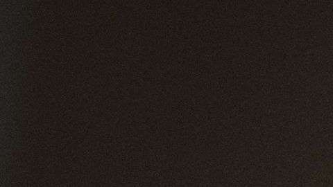 El presidente Trump tuiteó su decisión sobre la caza de elefantes.